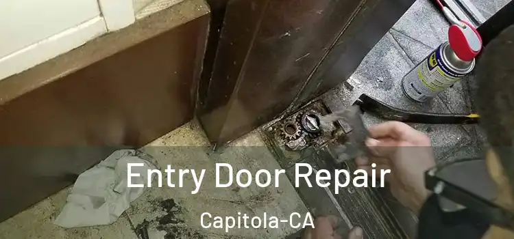 Entry Door Repair Capitola-CA