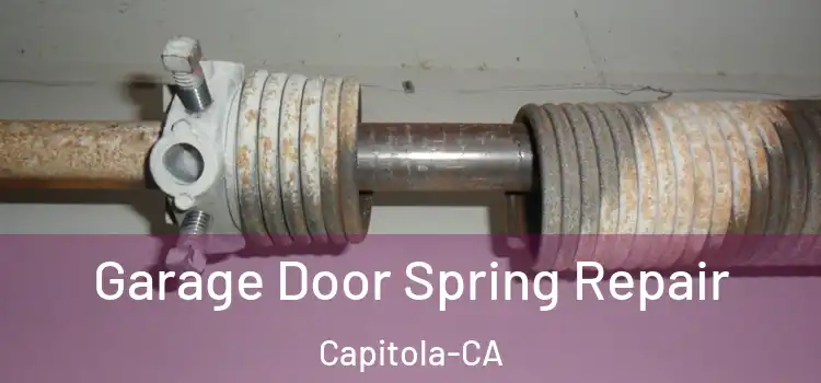 Garage Door Spring Repair Capitola-CA