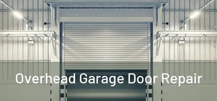 Overhead Garage Door Repair